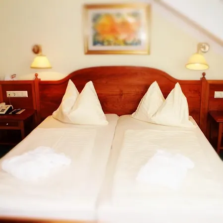 فندق Altstadt Mosser Mit Parkplatz 4*